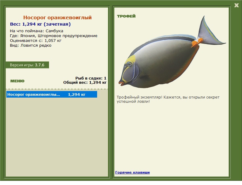 Носорог оранжевоиглый 