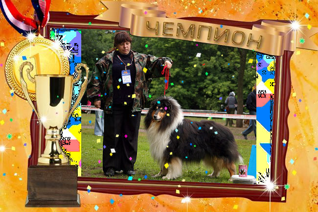  Обновления на сайте питомника \\