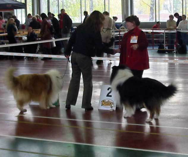  Обновления на сайте питомника \\