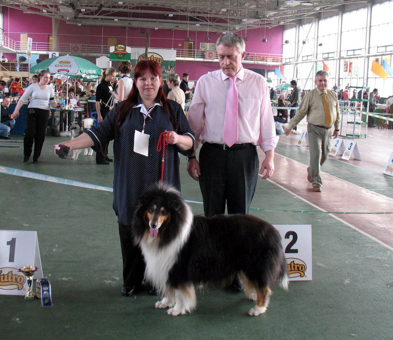 ФОРУМ ЛЮБИТЕЛЕЙ КОЛЛИ И ШЕЛТИ 