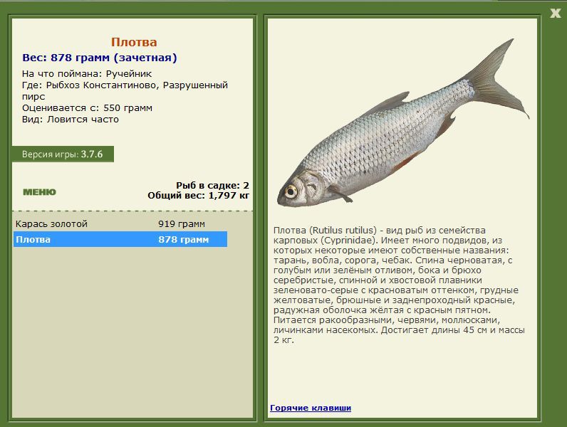РУССКАЯ РЫБАЛКА Installsoft Edition 