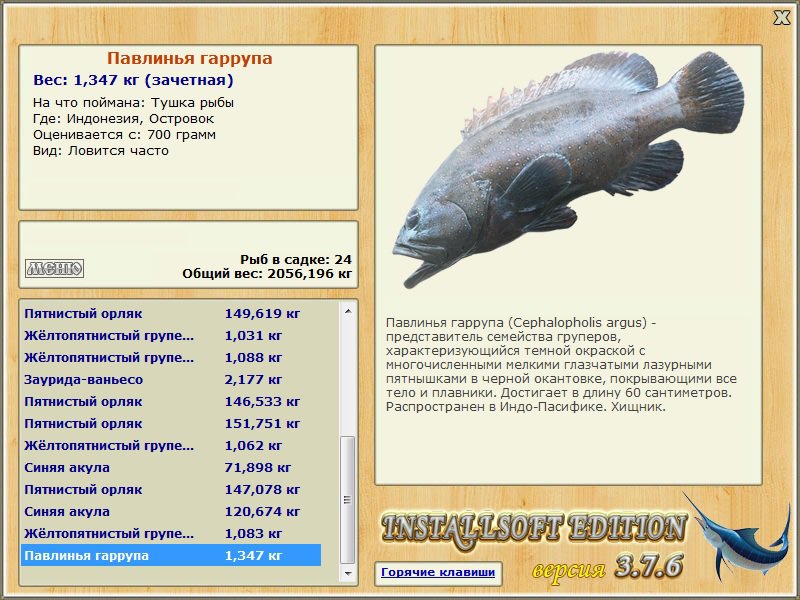 турниры • РУССКАЯ РЫБАЛКА