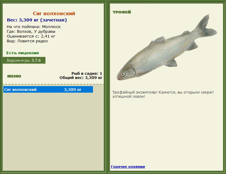 турниры • РУССКАЯ РЫБАЛКА