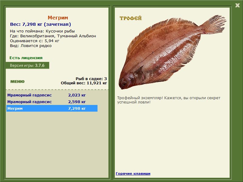 Мегрим 