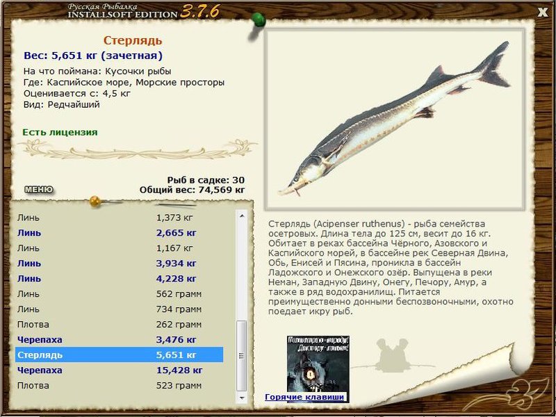 Каспийское море 