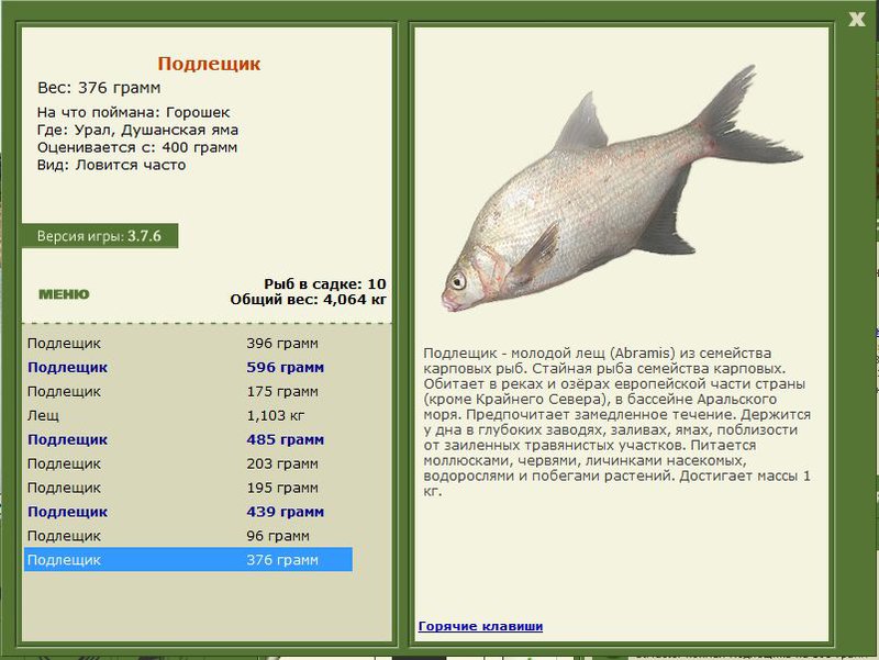 РУССКАЯ РЫБАЛКА Installsoft Edition 