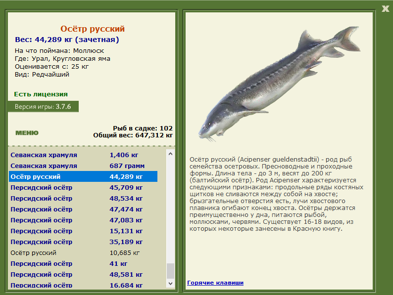Кругловская яма 