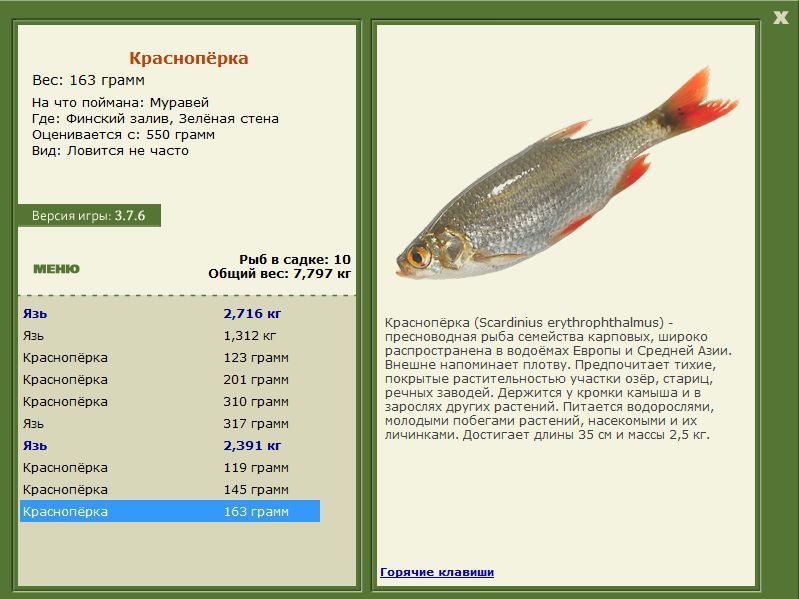 РУССКАЯ РЫБАЛКА Installsoft Edition 