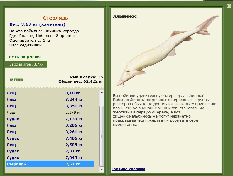 Небольшой просвет 