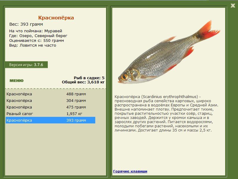 РУССКАЯ РЫБАЛКА Installsoft Edition 