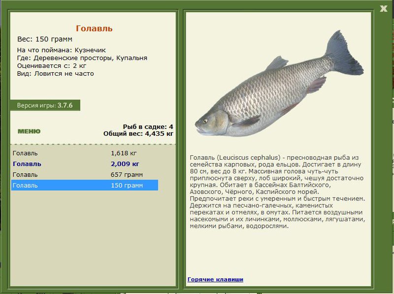 РУССКАЯ РЫБАЛКА Installsoft Edition 
