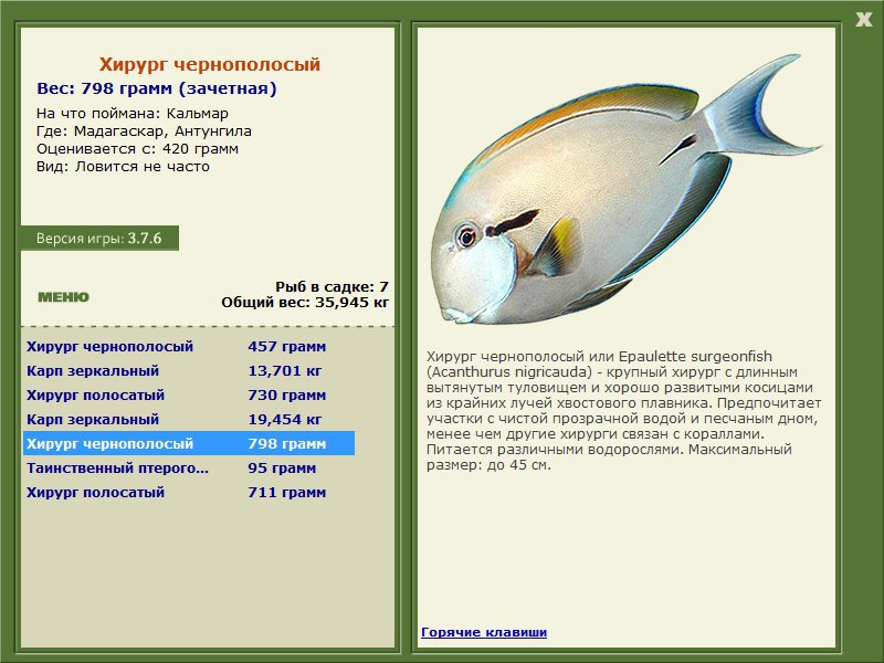 Мадагаскар 