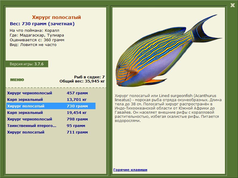 Мадагаскар 