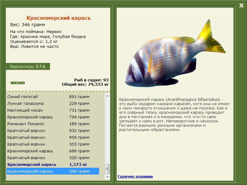 Голубая бездна 