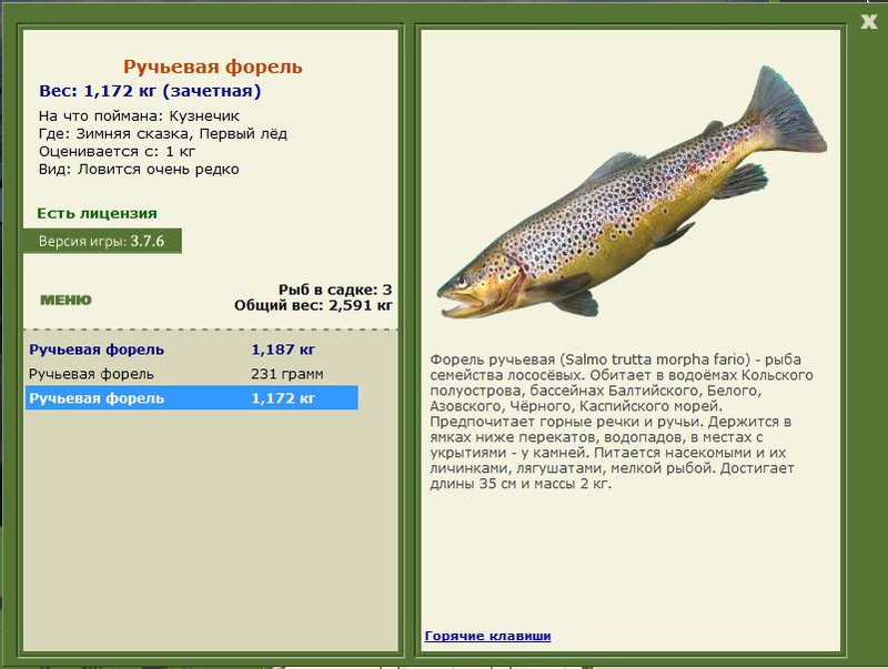 РУССКАЯ РЫБАЛКА Installsoft Edition 
