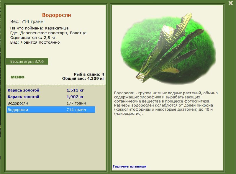 турниры • РУССКАЯ РЫБАЛКА