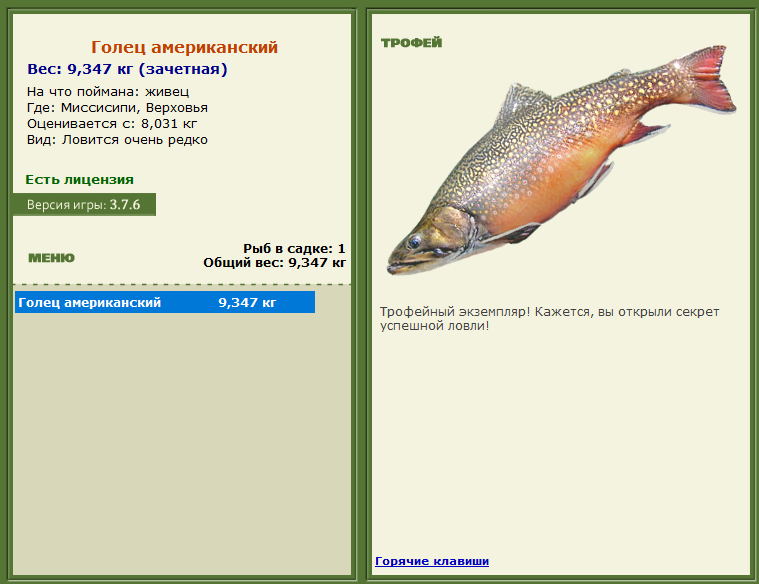 турниры • РУССКАЯ РЫБАЛКА