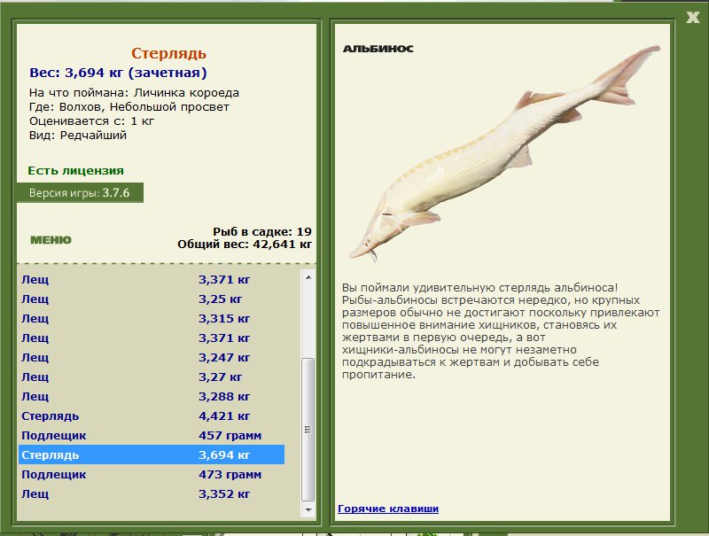 Небольшой просвет 