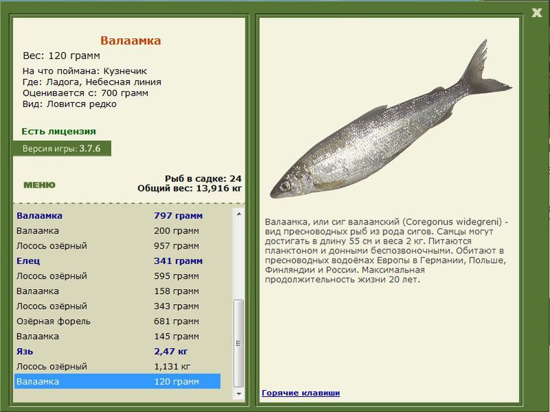 РУССКАЯ РЫБАЛКА Installsoft Edition 