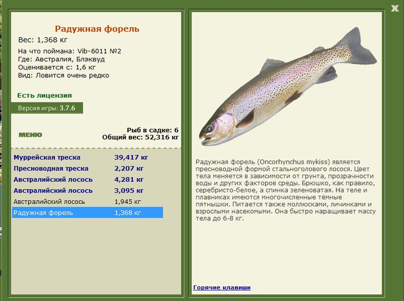 турниры • РУССКАЯ РЫБАЛКА