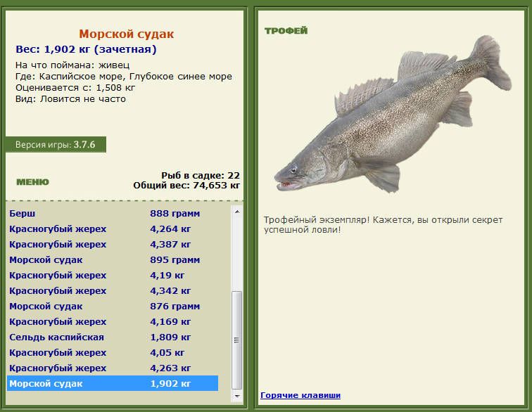 турниры • РУССКАЯ РЫБАЛКА