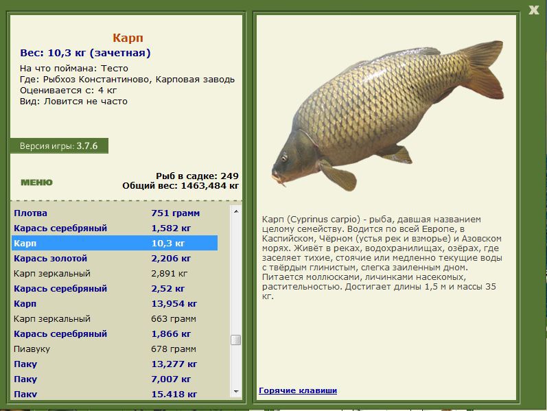 РУССКАЯ РЫБАЛКА Installsoft Edition 