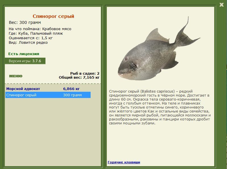 РУССКАЯ РЫБАЛКА Installsoft Edition 