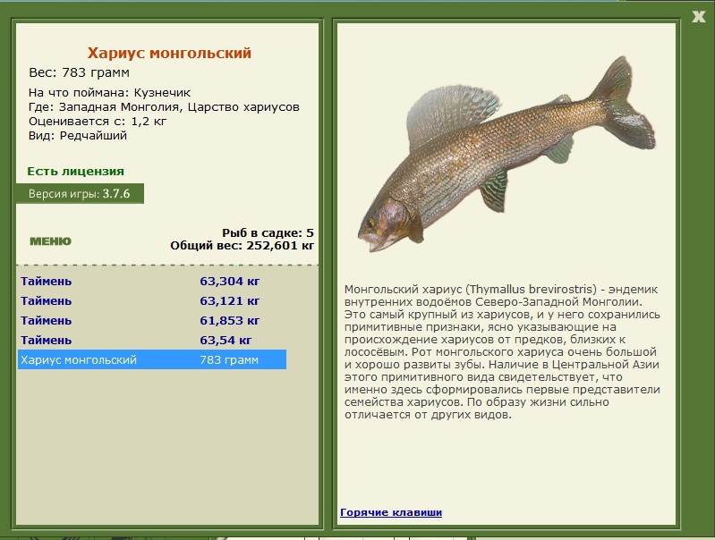 турниры • РУССКАЯ РЫБАЛКА