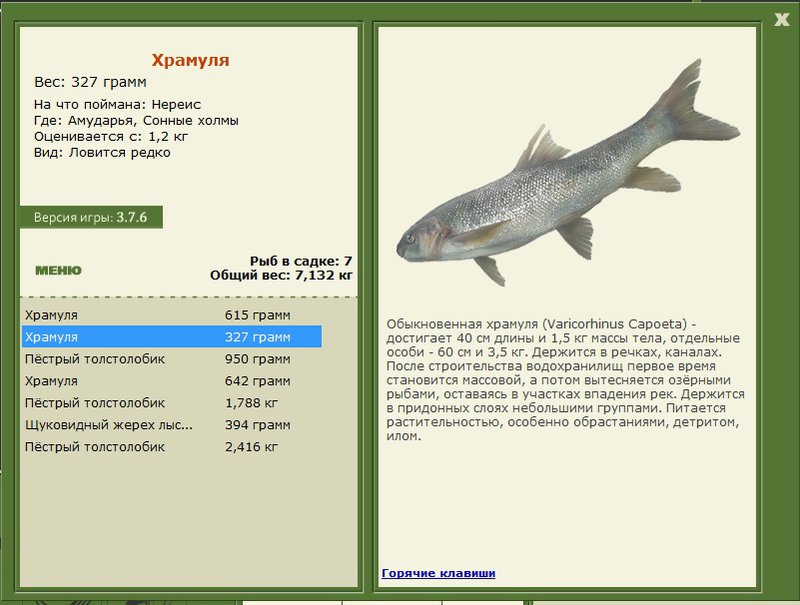 турниры • РУССКАЯ РЫБАЛКА