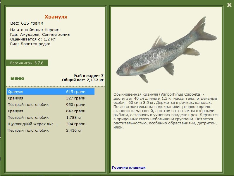 турниры • РУССКАЯ РЫБАЛКА