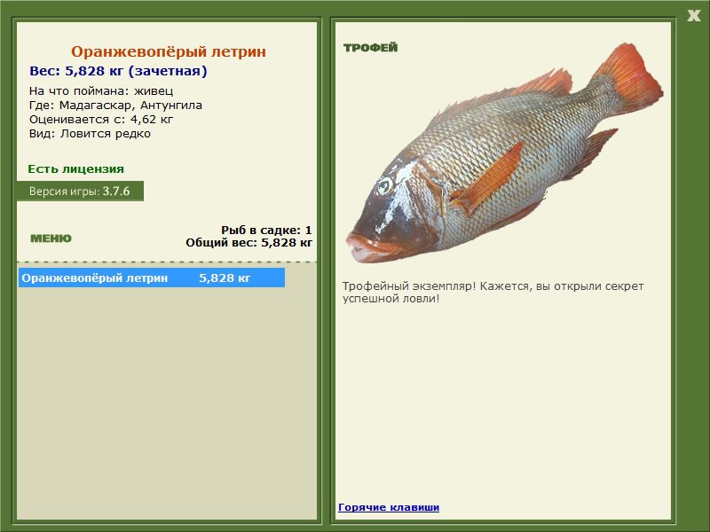 Оранжевопёрый летрин 