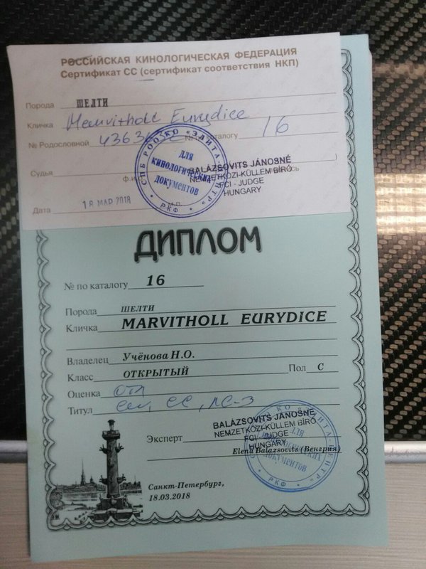  Шелти \\