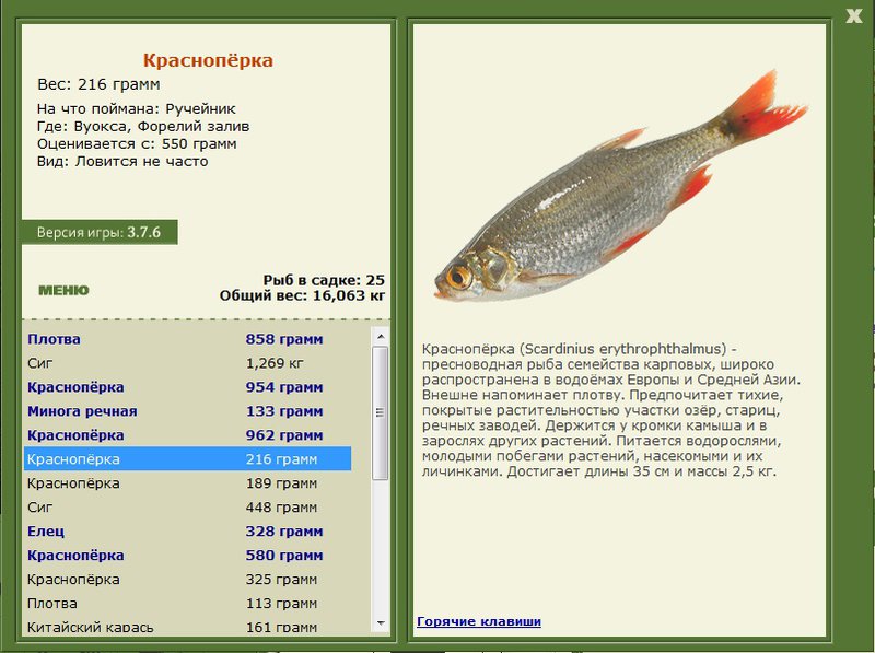 турниры • РУССКАЯ РЫБАЛКА