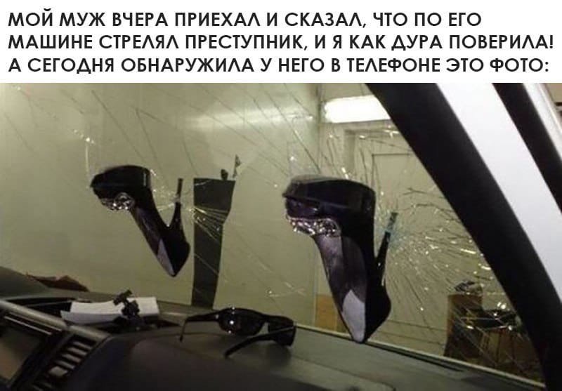  Прикольные фото