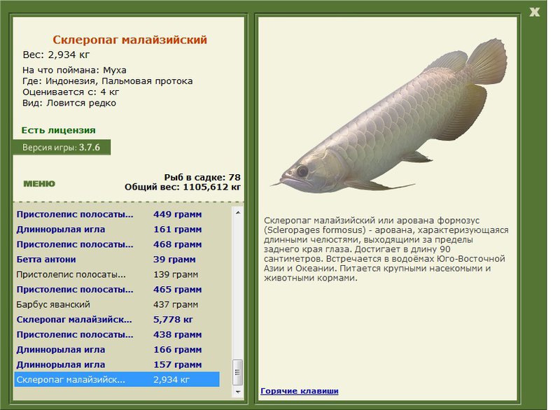 турниры • РУССКАЯ РЫБАЛКА