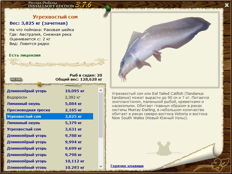 турниры • РУССКАЯ РЫБАЛКА