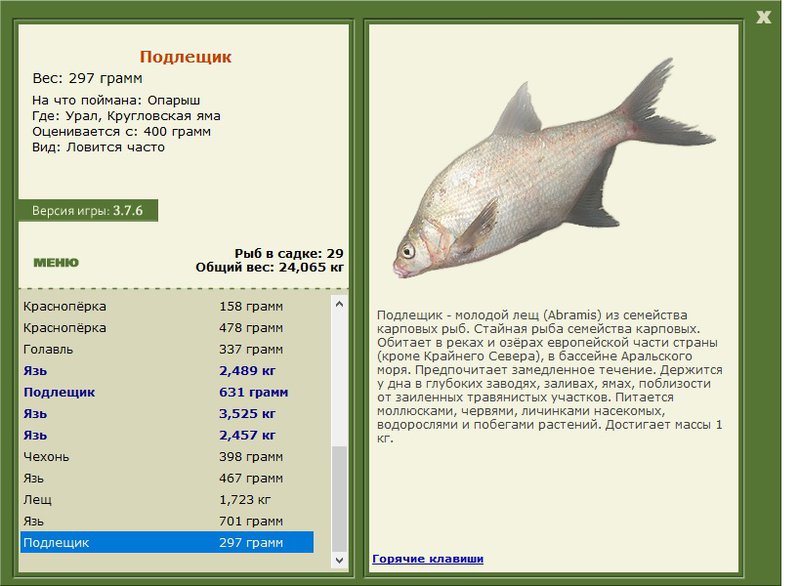 турниры • РУССКАЯ РЫБАЛКА