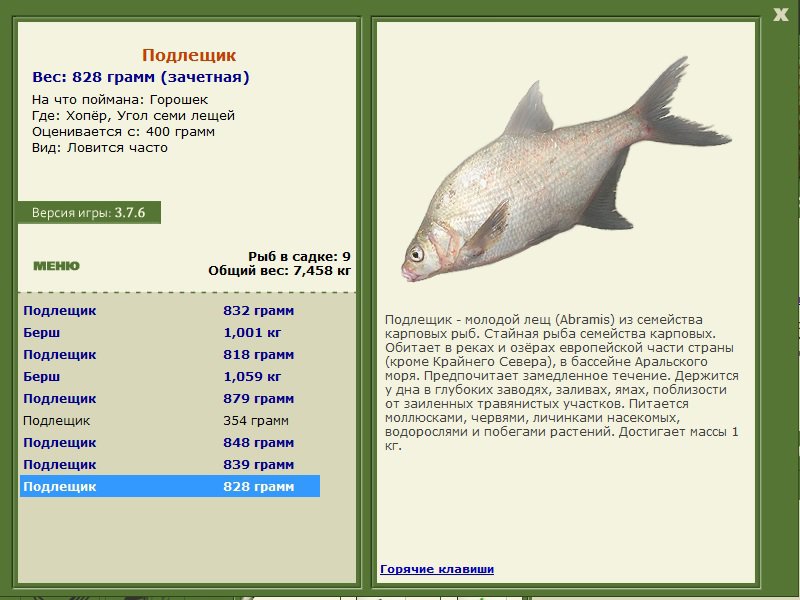 турниры • РУССКАЯ РЫБАЛКА