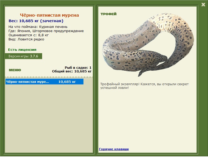 Куриная печень 