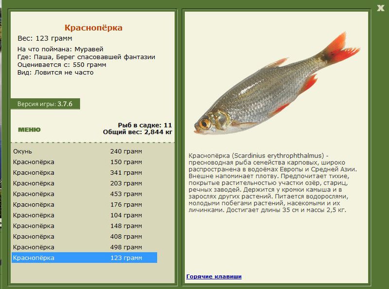 РУССКАЯ РЫБАЛКА Installsoft Edition 