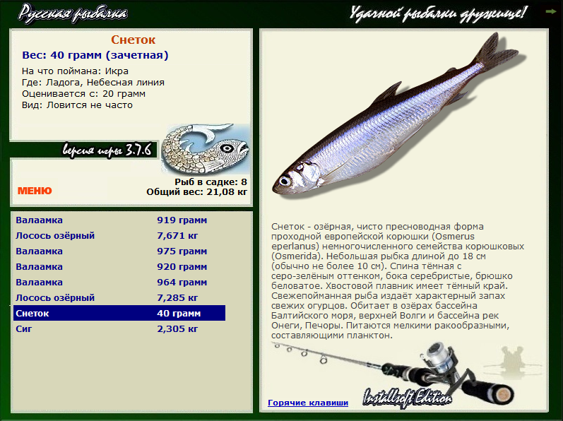 РУССКАЯ РЫБАЛКА Installsoft Edition 