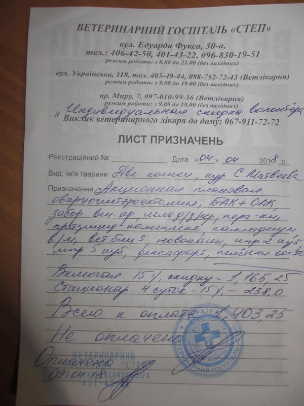 Общий финансовый отчет счетов Матвеевой 