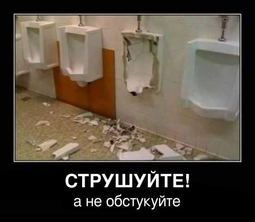  Прикольные фото