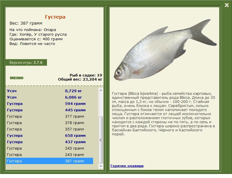 турниры • РУССКАЯ РЫБАЛКА