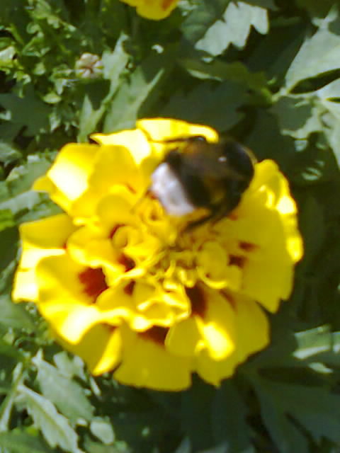  Страница 7 - Форум \\