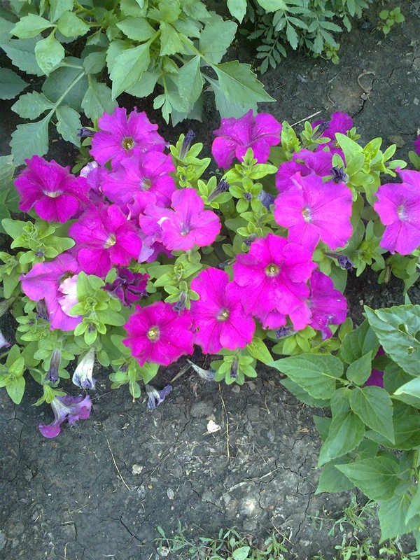  Страница 7 - Форум \\