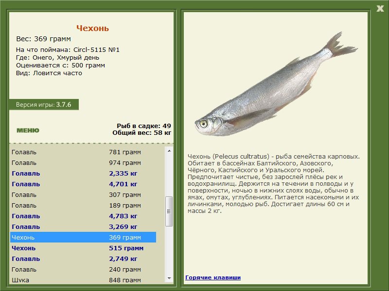 турниры • РУССКАЯ РЫБАЛКА