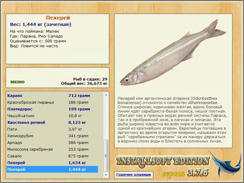 турниры • РУССКАЯ РЫБАЛКА