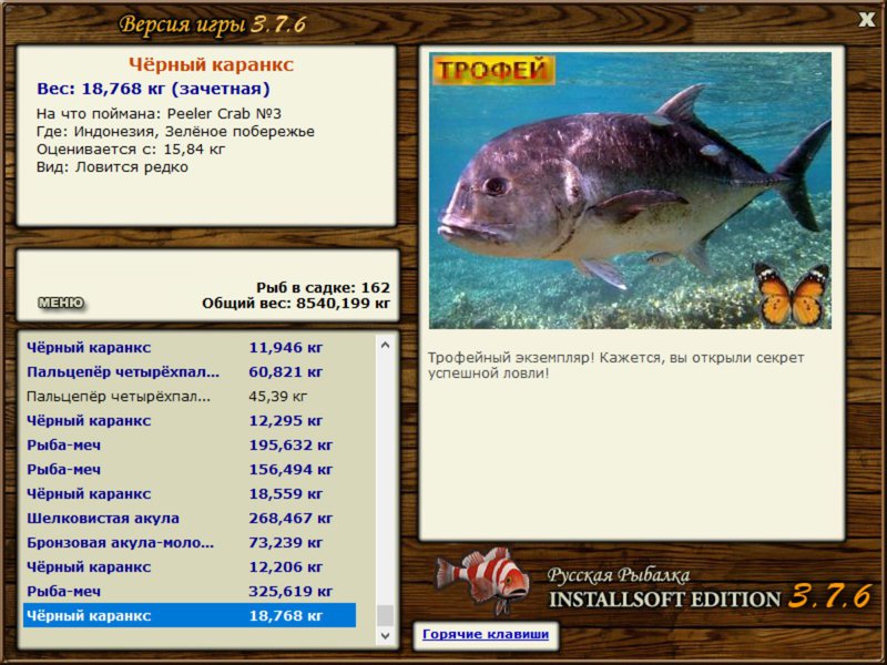 Чёрный каранкс 