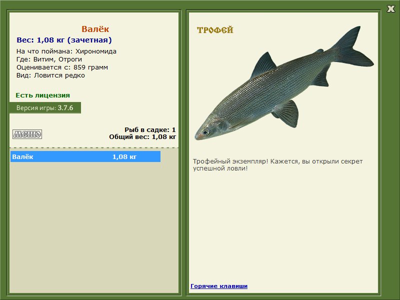 Отроги 